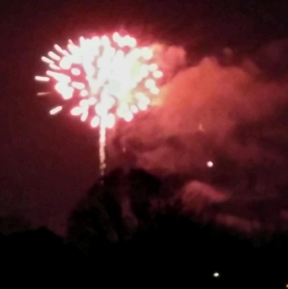 Meet your Posher, Lizzy - Picture 1 of 1